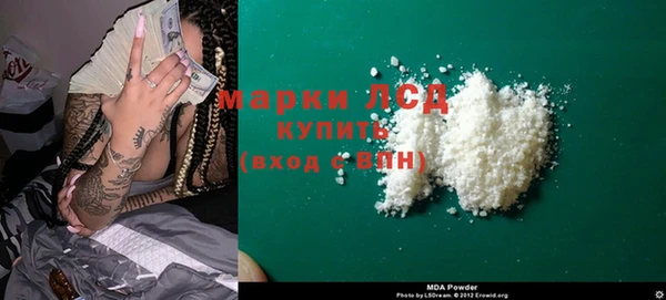мяу мяу мука Дмитриев