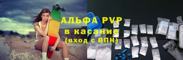 прущие грибы Дмитровск