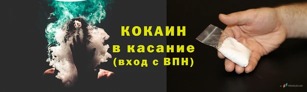 мяу мяу мука Дмитриев