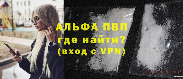 прущие грибы Дмитровск
