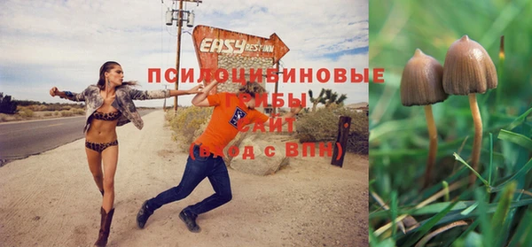кокаин перу Дмитров