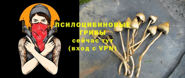 мяу мяу мука Дмитриев