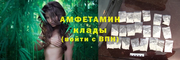 прущие грибы Дмитровск