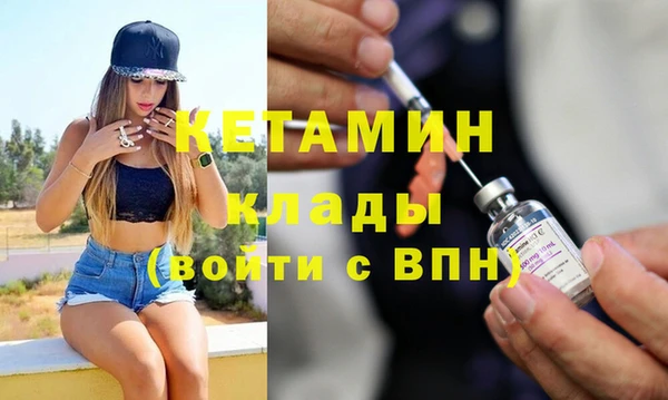 прущие грибы Дмитровск